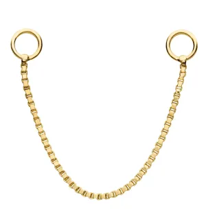 14kt Gold Box Nose & Cartilage Piercing Chain