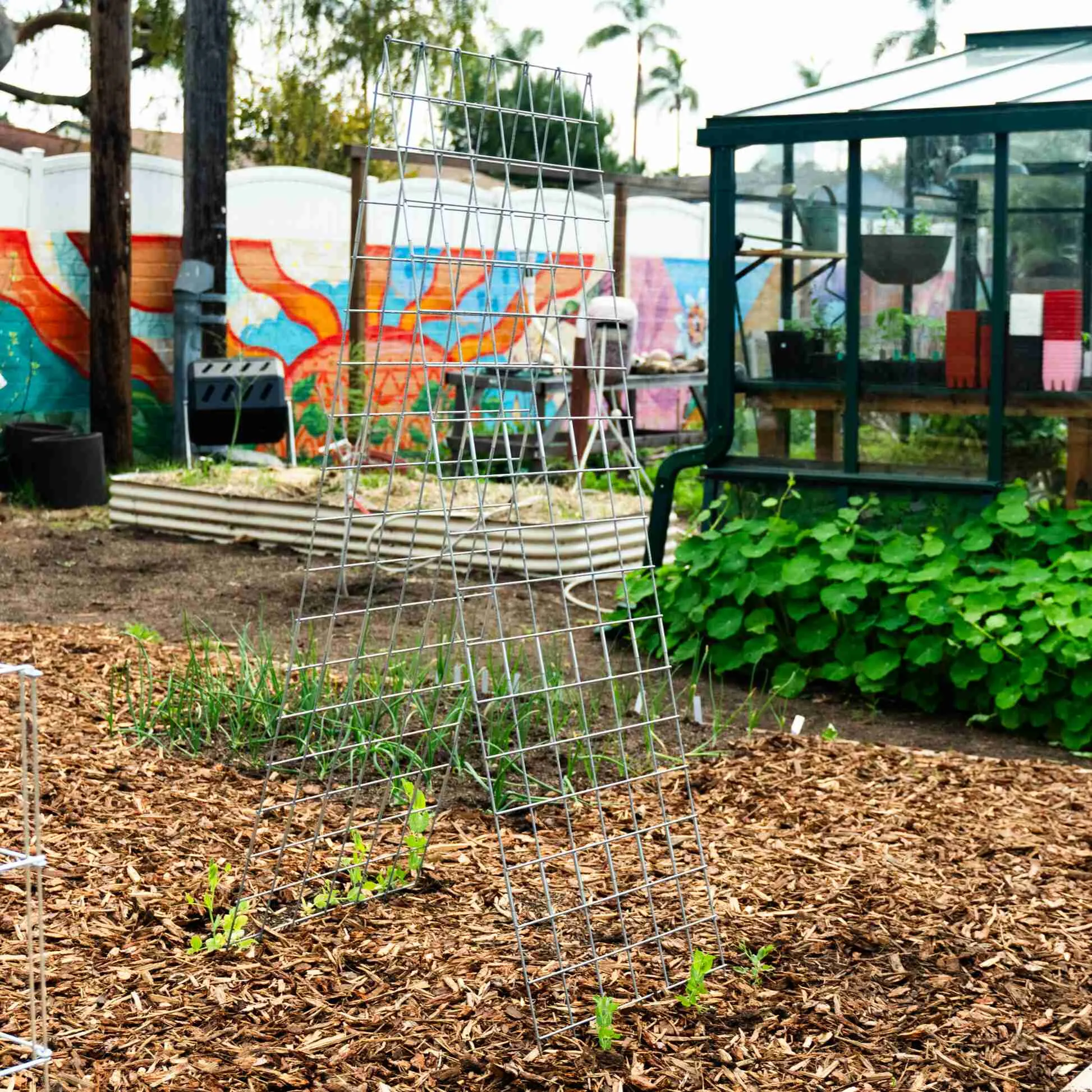 Folding A-Frame Trellis Support For Plants