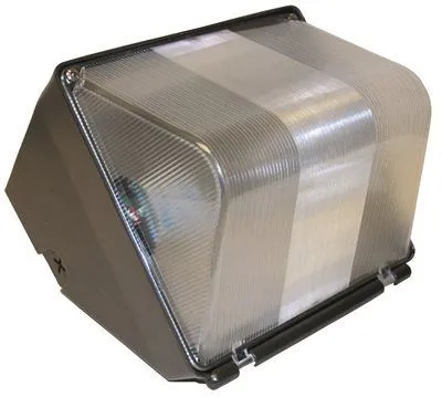 High Pressure Sodium Wall Pack 100 Watt