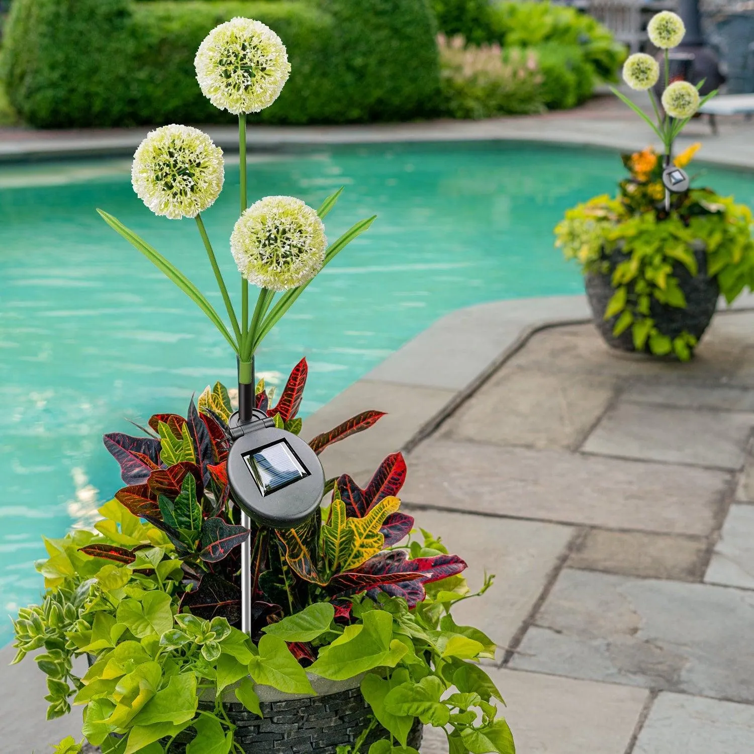 Solar Garden Dandelion Lights