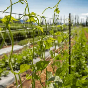 Trellis Netting